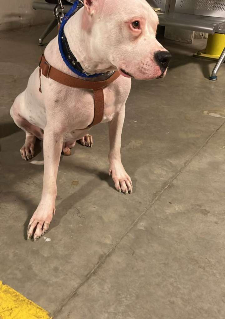 WhatsApp Image 2025-02-19 at 7.39.46 PM (1)