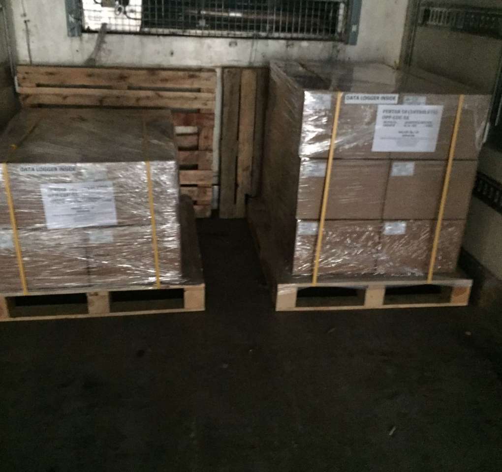 WhatsApp Image 2025-02-19 at 7.39.47 PM (3)