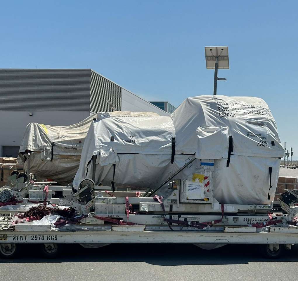 WhatsApp Image 2025-02-19 at 7.39.48 PM (2)