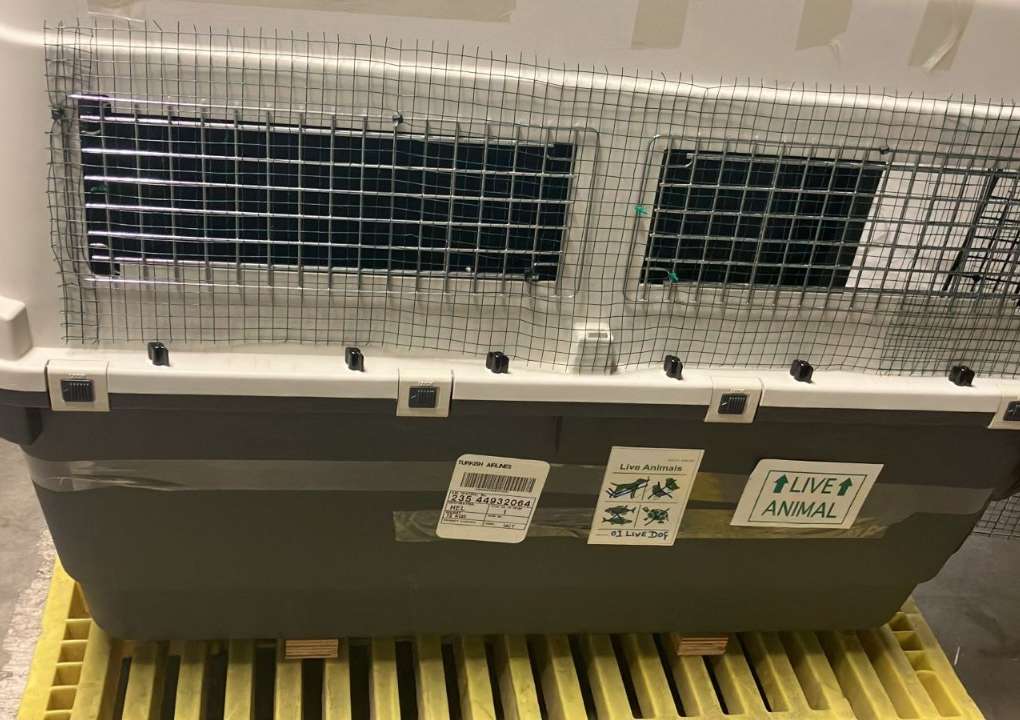 WhatsApp Image 2025-02-19 at 7.39.48 PM (4)