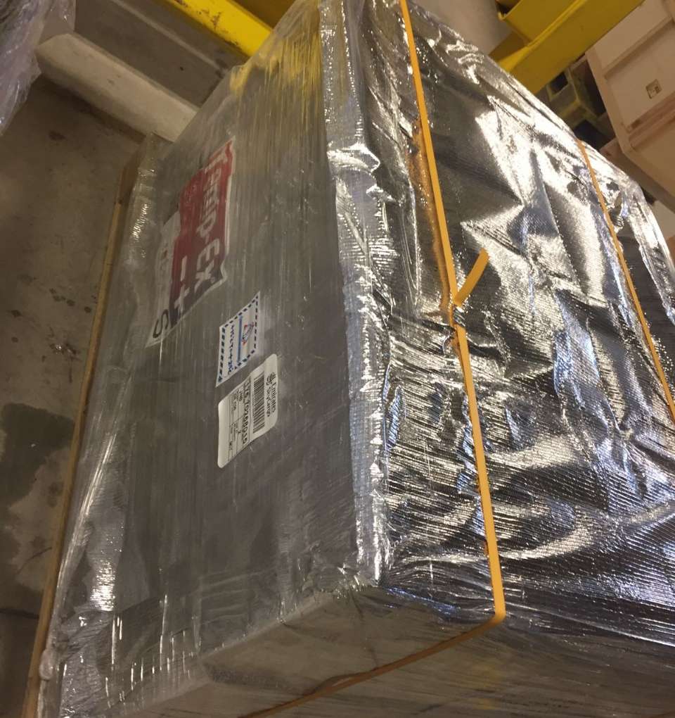 WhatsApp Image 2025-02-19 at 7.39.50 PM