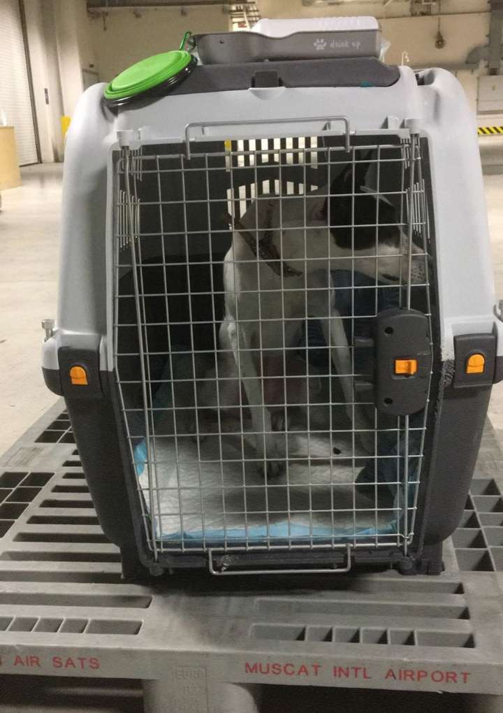 WhatsApp Image 2025-02-19 at 7.39.52 PM (1)