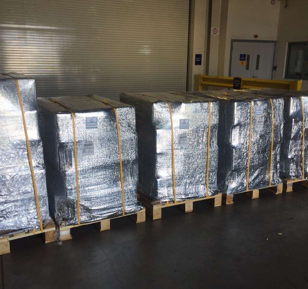 WhatsApp Image 2025-02-19 at 7.39.52 PM