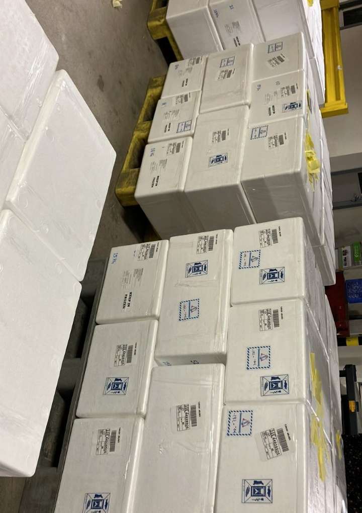 WhatsApp Image 2025-02-19 at 7.39.53 PM (1)