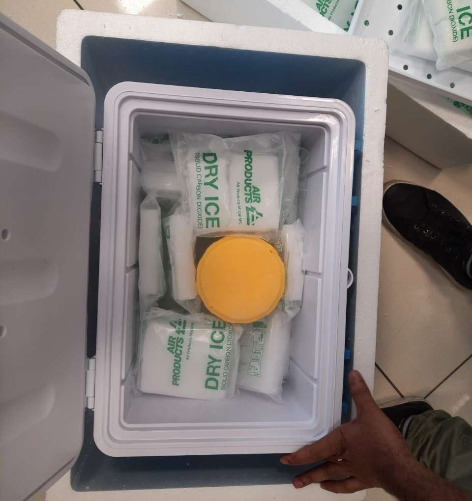 WhatsApp Image 2025-02-19 at 7.39.54 PM